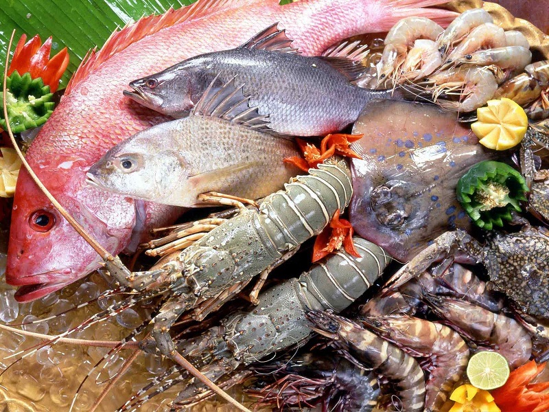 Kháng khuẩn khử mùi tối ưu với bộ lọc Cacbon hoạt tính Kháng khuẩn khử mùi tối ưu với bộ lọc Cacbon hoạt tính