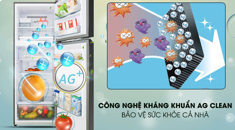 Công nghệ Ag Clean - Tủ lạnh Panasonic Inverter 326 lít NR-BL351GKVN Công nghệ Ag Clean - Tủ lạnh Panasonic Inverter 326 lít NR-BL351GKVN