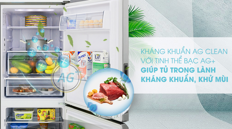 Công nghệ Ag Clean - Tủ lạnh Panasonic Inverter 255 lít NR-BV280QSVN Công nghệ Ag Clean - Tủ lạnh Panasonic Inverter 255 lít NR-BV280QSVN