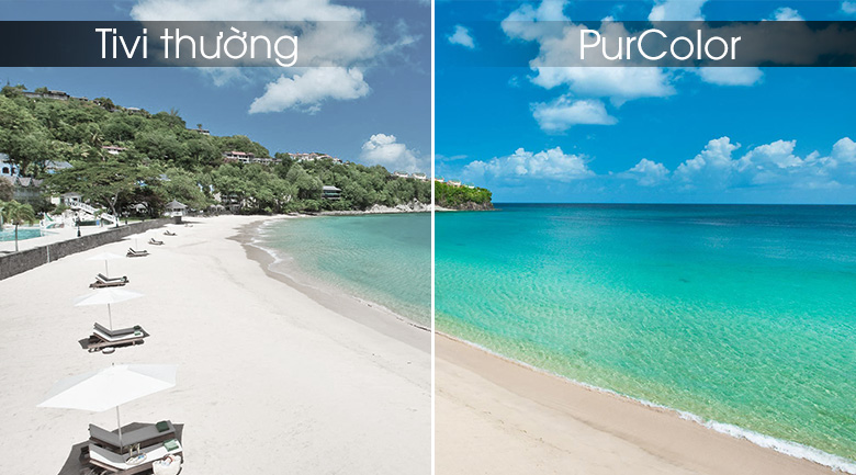Công nghệ PurColor mang đến dải màu rộng giúp hình ảnh tuyệt mỹ, rực rỡ hơn Công nghệ PurColor mang đến dải màu rộng giúp hình ảnh tuyệt mỹ, rực rỡ hơn