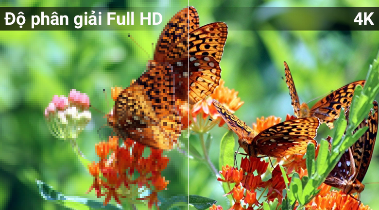 Độ phân giả 4K trên Màn hình 4K trên Tivi QLED Samsung QA49Q6FN Độ phân giả 4K trên Màn hình 4K trên Tivi QLED Samsung QA49Q6FN