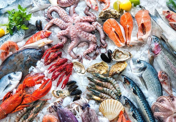 Tủ đông kháng khuẩn Kangaroo KG1009C1 Tủ đông kháng khuẩn Kangaroo KG1009C1