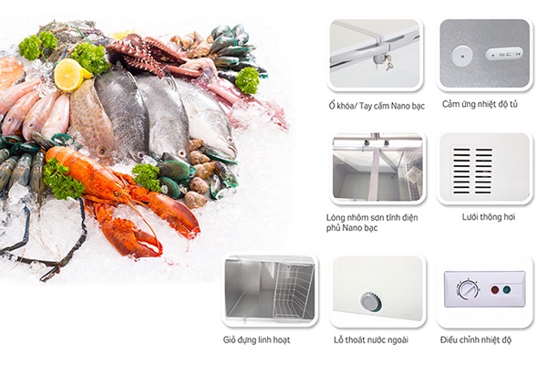 Tủ đông kháng khuẩn Kangaroo KG1400A1 Tủ đông kháng khuẩn Kangaroo KG1400A1