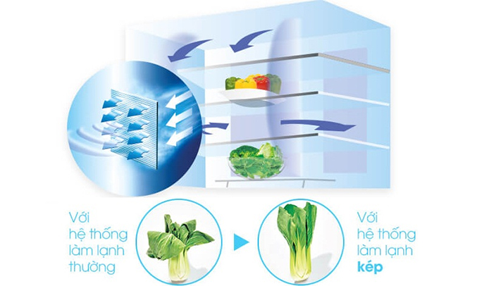 Tủ lạnh Sharp SJ-FX680V 605 lít giúp thực phẩm tươi ngon