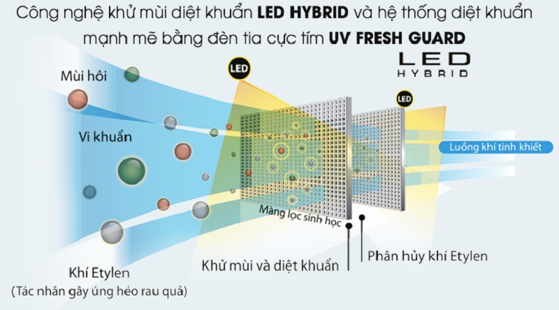 Kháng khuẩn và khử mùi bằng Led Hybrid - Tủ lạnh Toshiba Inverter 468 lít GR-HG52VDZ XK Kháng khuẩn và khử mùi bằng Led Hybrid - Tủ lạnh Toshiba Inverter 468 lít GR-HG52VDZ XK