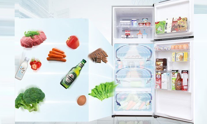 Thực phẩm được làm lạnh đồng đều và hiệu quả với luồng khí lạnh vòng cung - Tủ lạnh Toshiba Inverter 359 lít GR-AG41VPDZ XK Thực phẩm được làm lạnh đồng đều và hiệu quả với luồng khí lạnh vòng cung - Tủ lạnh Toshiba Inverter 359 lít GR-AG41VPDZ XK