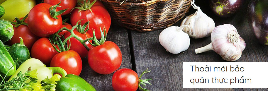 Tủ lạnh Samsung RT22M4040DX/SV dung tích 243 lít Thoải mái bảo quản thực phẩm