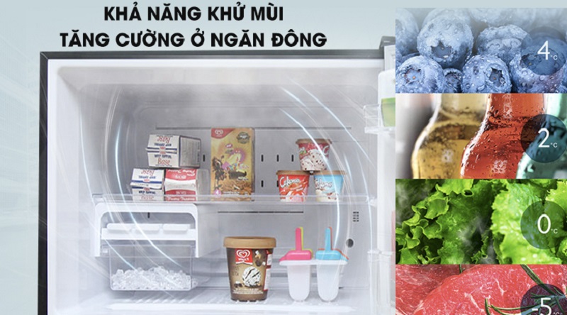 Khử mùi hiệu quả ở ngăn đông - Tủ lạnh Toshiba Inverter 600 lít GR-WG66VDAZ Khử mùi hiệu quả ở ngăn đông - Tủ lạnh Toshiba Inverter 600 lít GR-WG66VDAZ