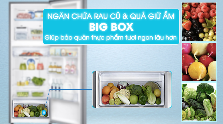 Big Box - Tủ lạnh Samsung Inverter 299 lít RT29K5532S8/SV Big Box - Tủ lạnh Samsung Inverter 299 lít RT29K5532S8/SV