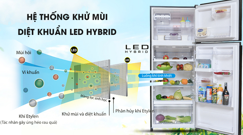 Tủ lạnh Toshiba Inverter 409 lít GR-TG46VPDZ - Khử mùi Tủ lạnh Toshiba Inverter 409 lít GR-TG46VPDZ - Khử mùi