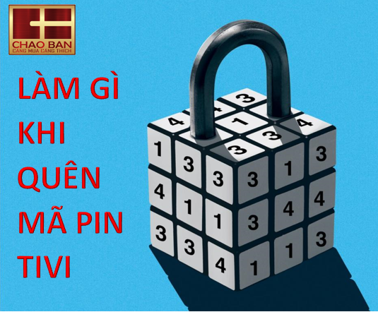 LÀM GÌ KHI QUÊN MÃ PIN TIVI