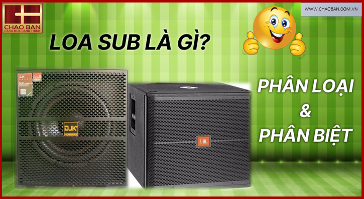 LOA SUB LÀ GÌ? PHÂN LOẠI VÀ PHÂN BIỆT
