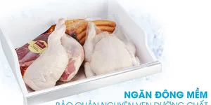 Công nghệ  Prime Fresh+ (cấp đông mềm) trên tủ lạnh Panasonic
