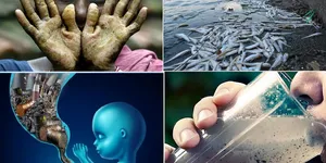 Tác hại của nguồn nước nhiễm Asen, cách phòng tránh nhiễm Asen