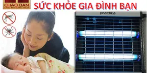 TẠI SAO NỂN SỬ DỤNG ĐÈN BẮT MUỖI - ĐIỆN MÁY CHÀO BÁN