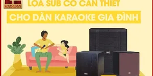 LOA SUB CÓ CẦN THIẾT CHO DÀN KARAOKE GIA ĐÌNH