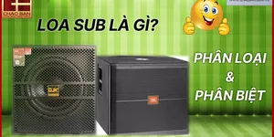LOA SUB LÀ GÌ? PHÂN LOẠI VÀ PHÂN BIỆT