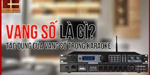 VANG SỐ LÀ GÌ? TÁC DỤNG CỦA VANG SỐ TRONG KARAOKE