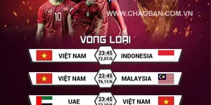 Xem lại các lần ghi bàn của Việt Nam với Indonesia, vòng loại World Cup 2022