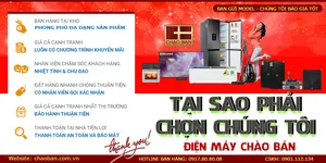TẠI SAO PHẢI CHỌN CHÚNG TÔI - ĐIỆN MÁY CHÀO BÁN? (ENGLISH BELOW)