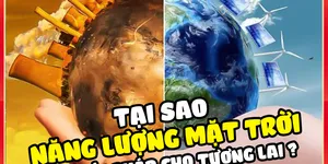 Tại sao năng lượng mặt trời là giải pháp cho tương lai?