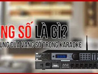 VANG SỐ LÀ GÌ? TÁC DỤNG CỦA VANG SỐ TRONG KARAOKE