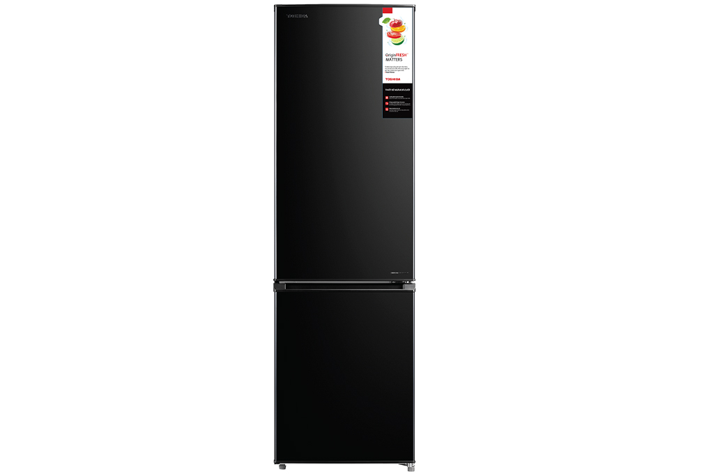 Tủ lạnh Toshiba Inverter 270 lít GR-RB350WE-PMV(30)-B