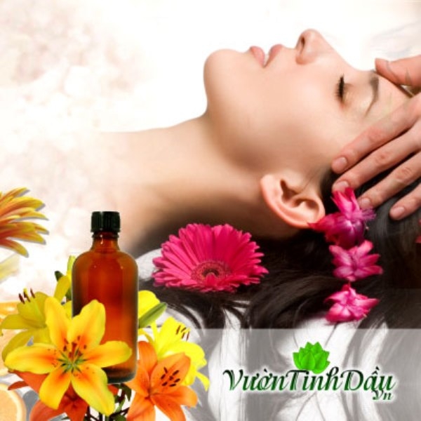 Công dụng của tinh dầu hoa ly nguyên chất