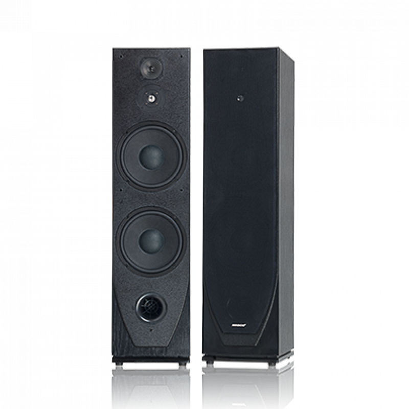 Loa đứng NIKOCHI NK-910