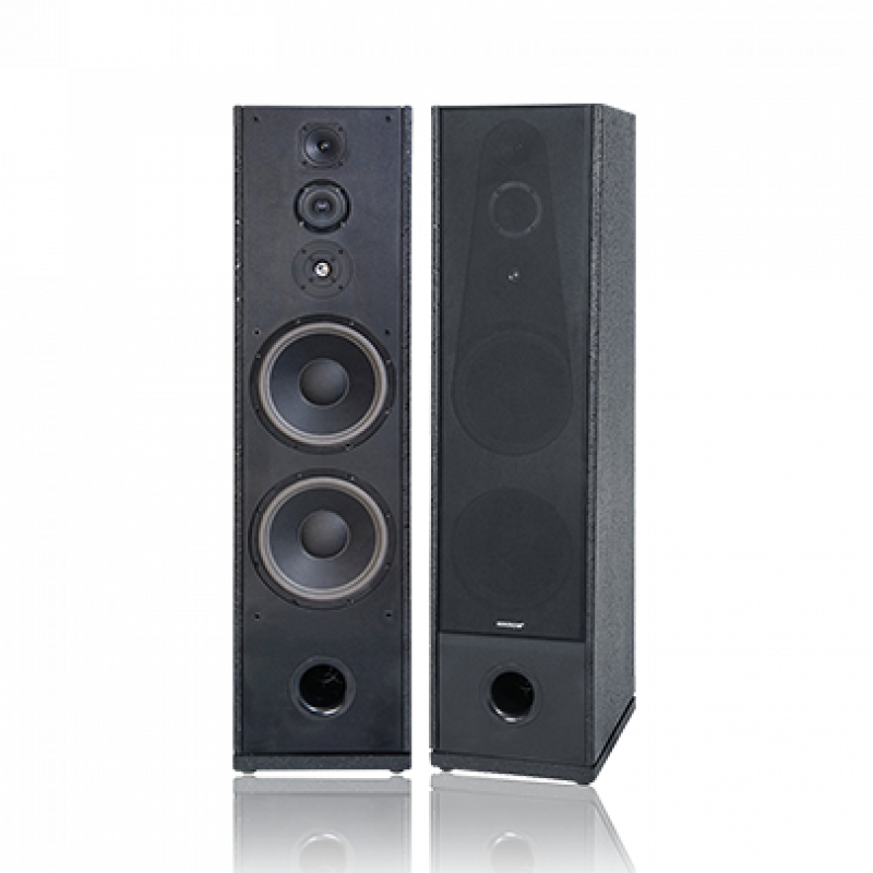 Loa đứng NIKOCHI NK-920