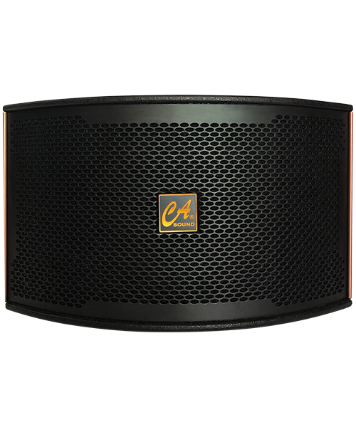 LOA CA SOUND K-710