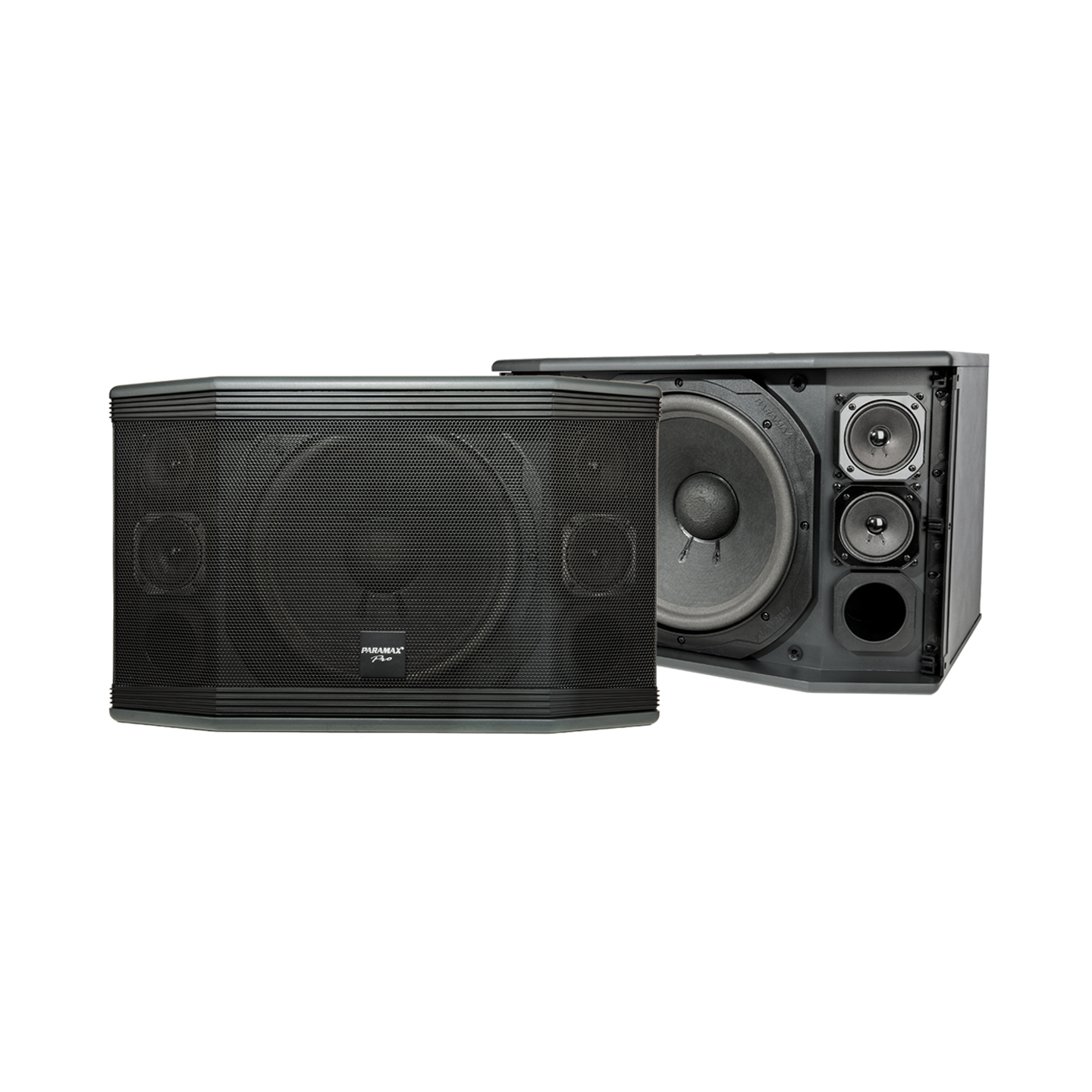 Loa Paramax Pro-C10