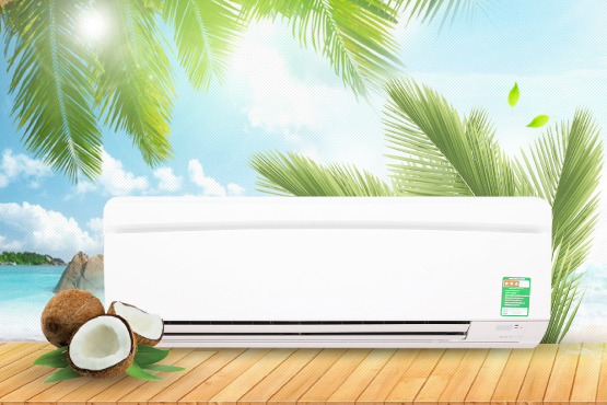 Máy lạnh Daikin FTV25BXV1V/RV25BXV1V