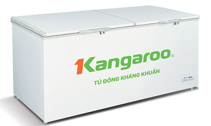 Tủ đông kháng khuẩn Kangaroo (1000 lít) KG1009C1