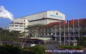 nha may duong Mimosa