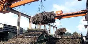 Quyết định số 28/2004/QĐ-TTg