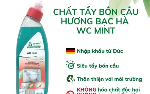 Tẩy bồn cầu hương bạc hà tự phân hủy sinh học WC mint