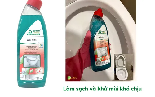 Tẩy bồn cầu hương bạc hà tự phân hủy sinh học WC mint