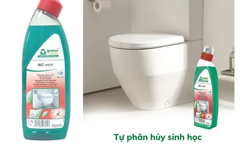 Tẩy bồn cầu hương bạc hà tự phân hủy sinh học WC mint