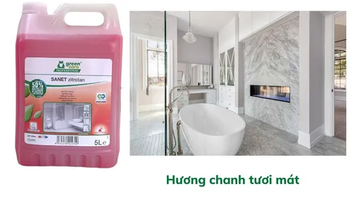 Chất làm sạch nhà vệ sinh tự phân hủy sinh học SANET zitrotan
