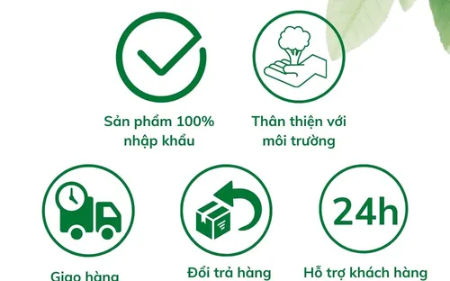 Chất làm sạch nhà vệ sinh tự phân hủy sinh học SANET zitrotan