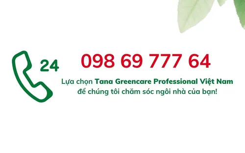 Siêu tẩy lớp phủ sàn tự phân hủy sinh học LINAX complete