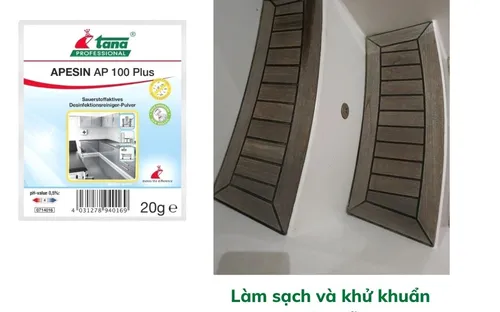 Bộ khử khuẩn oxy hoạt tính APESIN AP 100 Plus