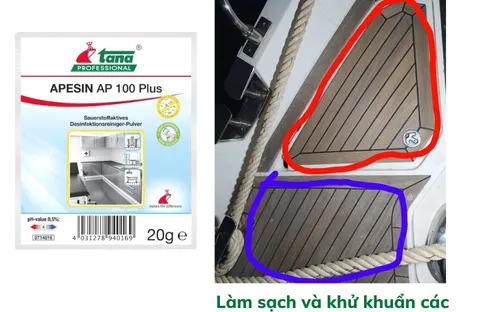 Bộ khử khuẩn oxy hoạt tính APESIN AP 100 Plus