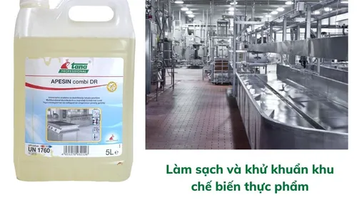 Chất làm sạch và khử khuẩn đa năng APESIN combi DR