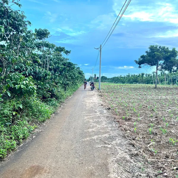 Bán đất full thổ cư tại Bảo Lâm - Lâm Đồng