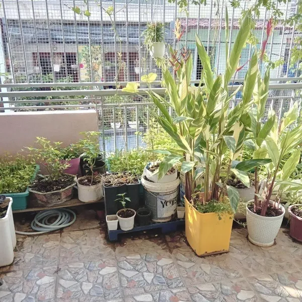 Bán nhà  hẻm 382/ Phạm Thế Hiển P3 Quận 8