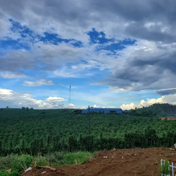 Bán đất thổ cư 100% Lộc Quảng