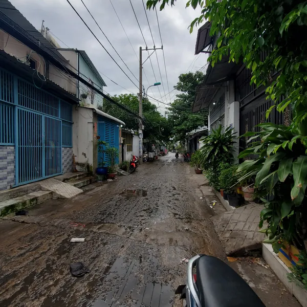 Cho thuê Nhà nguyên căn nhiều phòng hẻm 79 Bến Phú Định P16 Quận 8.