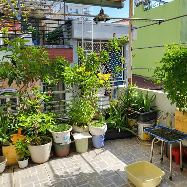 Bán nhà mới xây hẻm ba gác đường Hòa Hưng Phường 13 Quận 10
